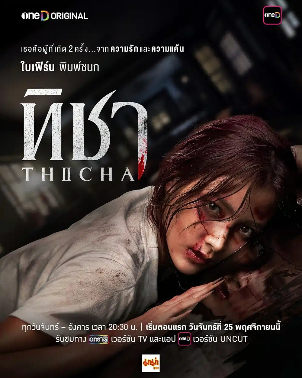 ดูหนังออนไลน์ฟรี ซีรี่ย์ไทย THICHA (2024) ทิชา Uncut