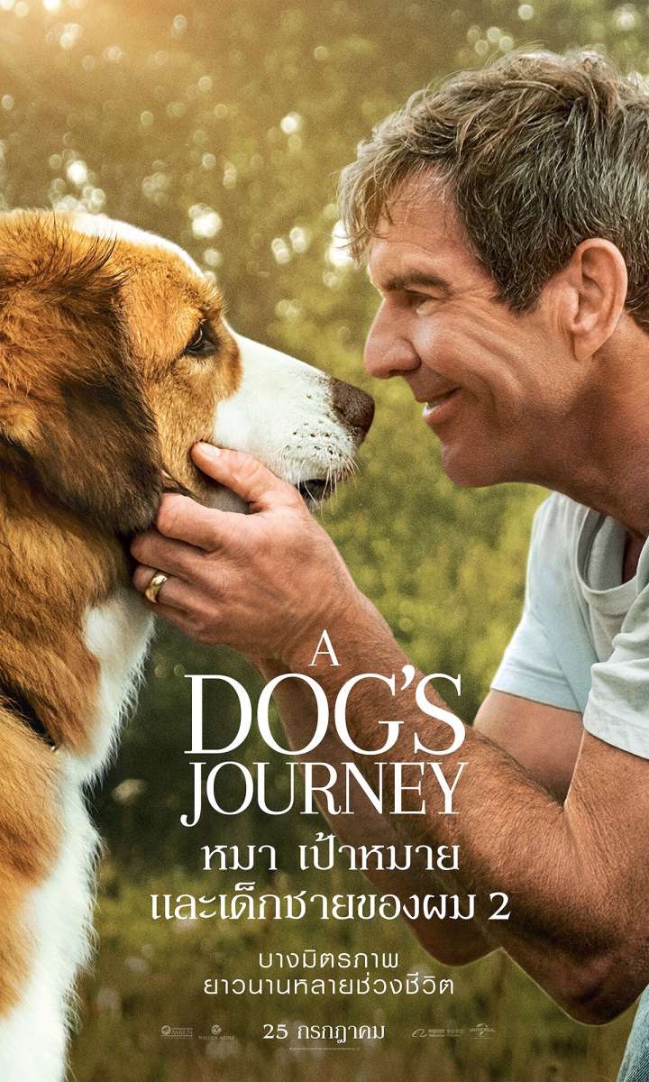 ดูหนังออนไลน์ A Dog’s Journey (2019) หมา เป้าหมาย และเด็กชายของผม 2