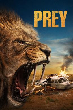 ดูหนังออนไลน์ Prey ขย้ำ (2024)