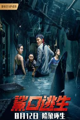 ดูหนังออนไลน์ Escape of Shark (2021) โคตรฉลามคลั่ง