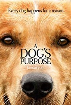 ดูหนังออนไลน์ฟรี A DOG’S PURPOSE (2017) หมา เป้าหมาย และเด็กชายของผม