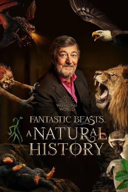 ดูหนังออนไลน์ Fantastic Beasts: A Natural History (2022) บรรยายไทย