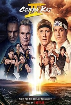 ดูหนังออนไลน์ Cobra Kai Season 4