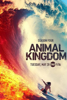 ดูหนังออนไลน์ฟรี Animal Kingdom  Season 4 (2019) แอนิมอล คิงดอม 4