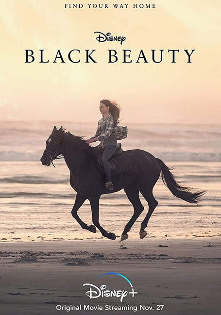 ดูหนังออนไลน์ฟรี Black Beauty (2020)