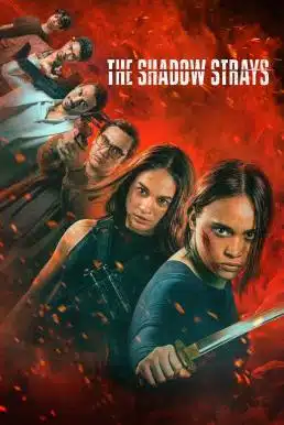 ดูหนังออนไลน์ฟรี The Shadow Strays นักฆ่าเงาล่าทรชน (2024) NETFLIX