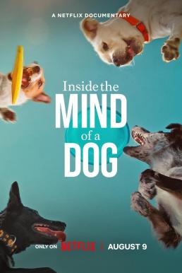 ดูหนังออนไลน์ฟรี Inside the Mind of a Dog อ่านใจสุนัข (2024) NETFLIX